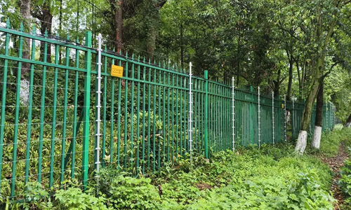 軍工級低溫樱桃视频APP下载池UPS