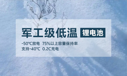 軍工級低溫樱桃视频APP下载池UPS